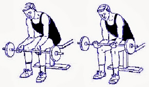 gimnasio gimnasio
