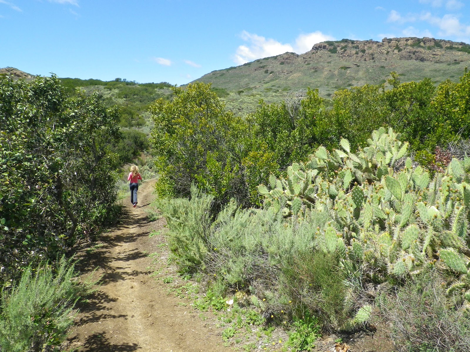 wildwood thousand oaks