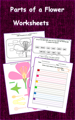 Nyla's Crafty Teaching: July 2014