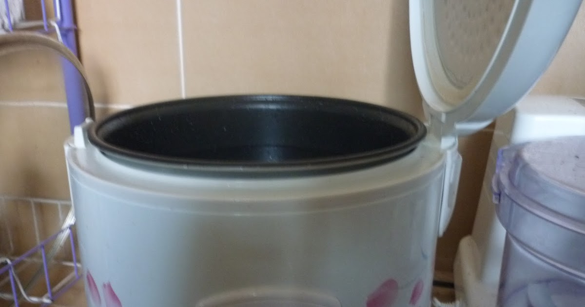 The Road Not Taken How to make Yogurt! (using the ricecooker)
