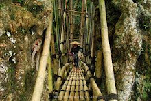 Jembatan Bambu
