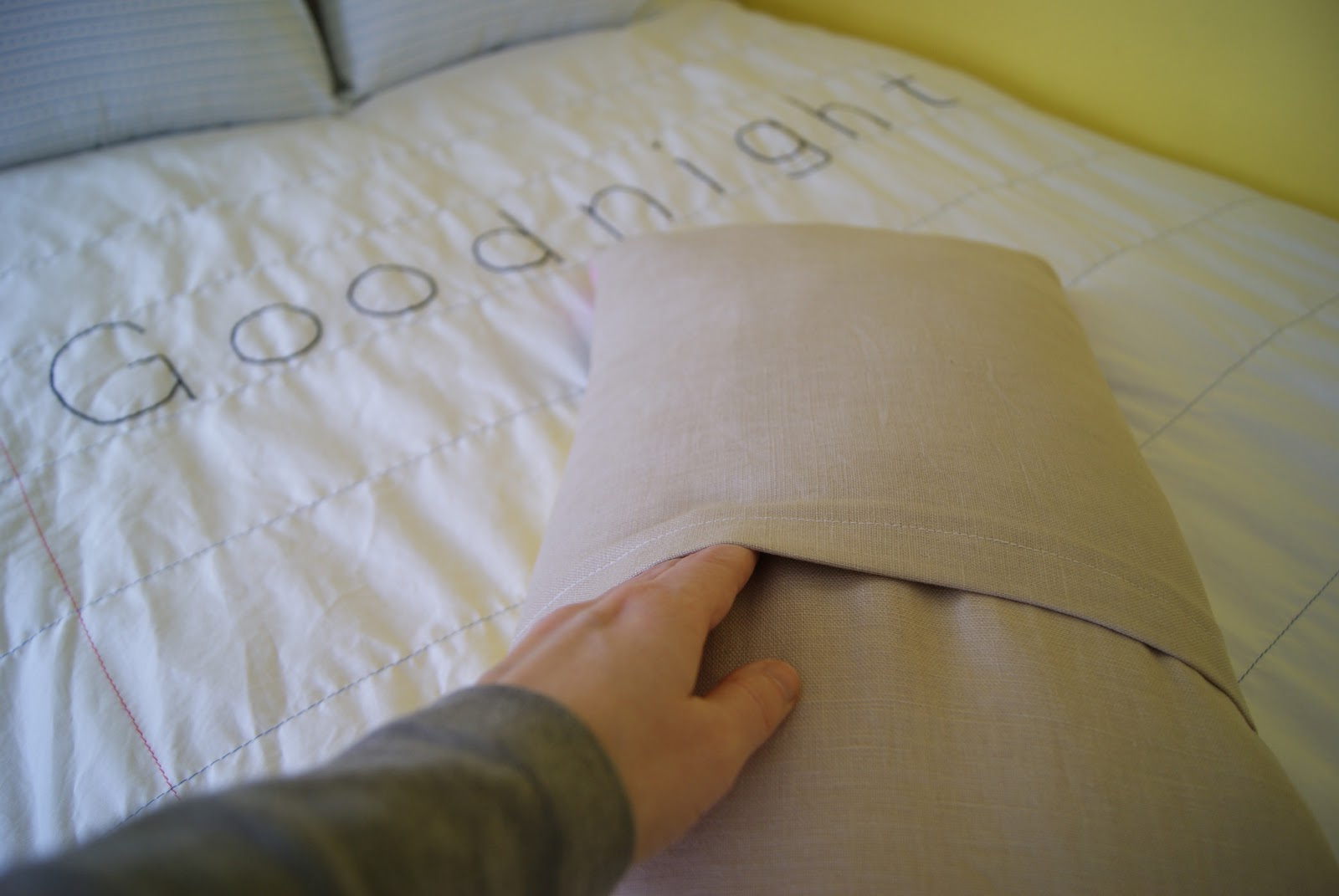 nest full of eggs Pencil and Paper Bedding Set