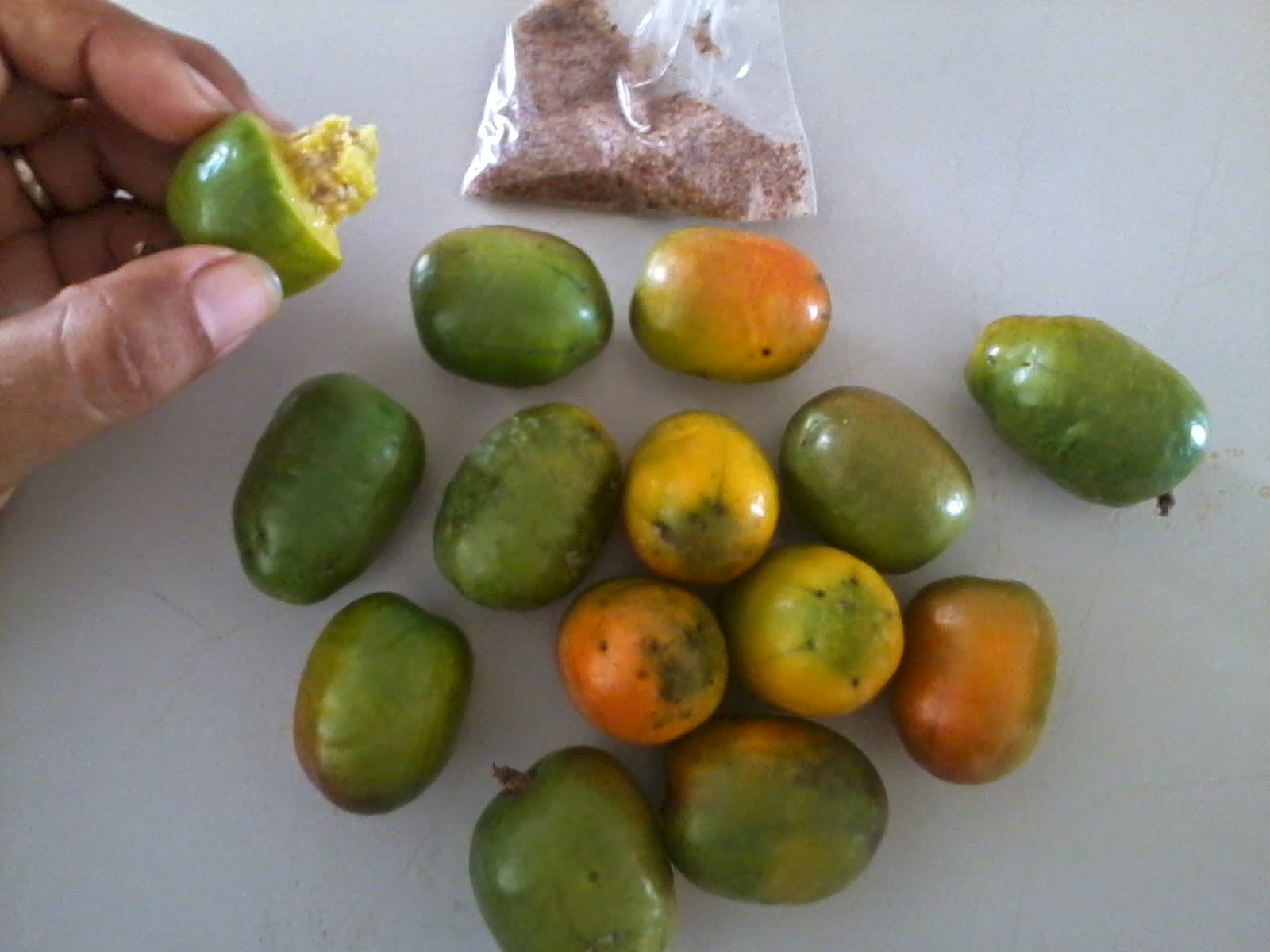 GUIA MEXICO.......... La guía de lugares que DEBES visitar si estas de