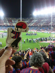 Un catganer al Calderón.