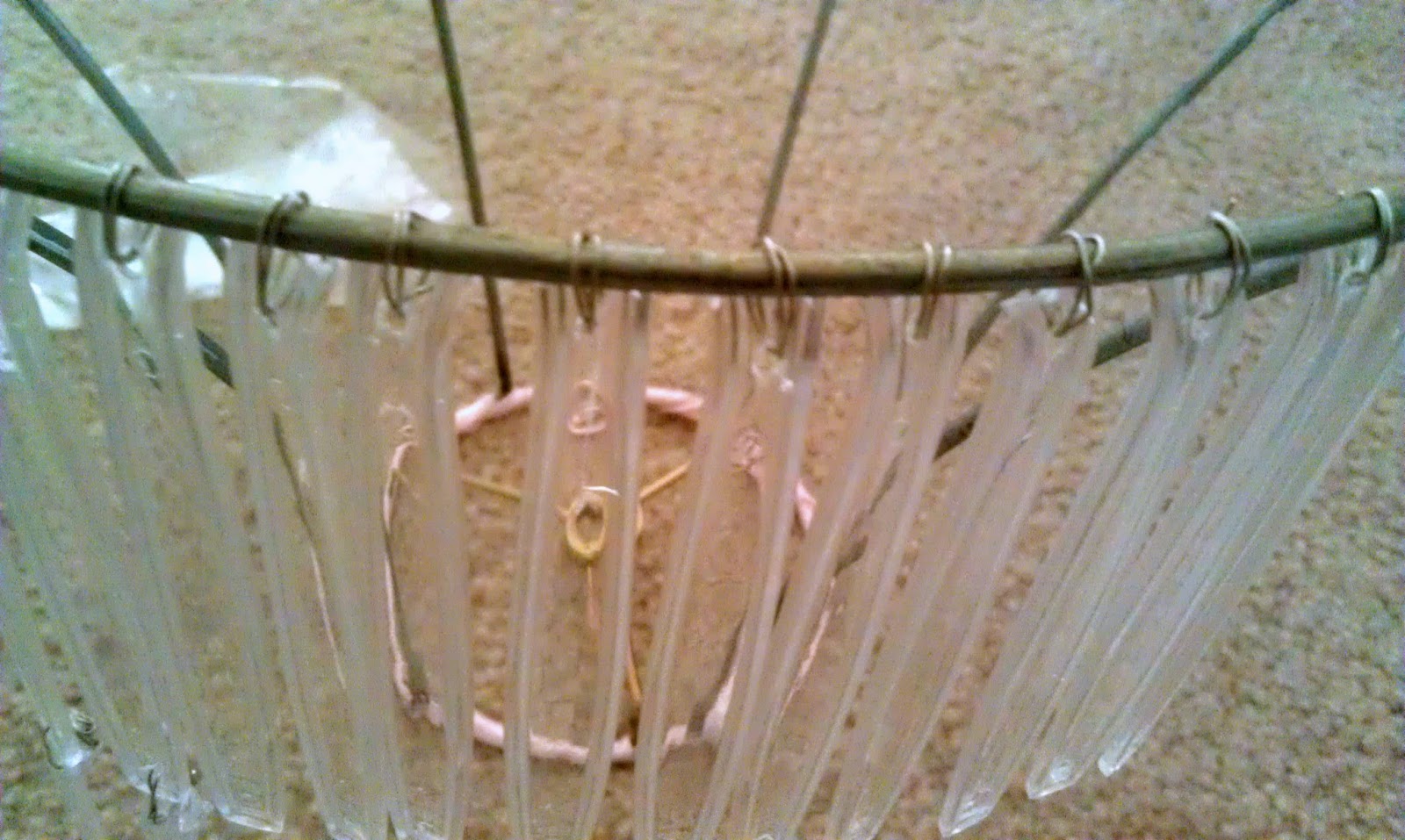 Passionately Perfect Can you tell!?