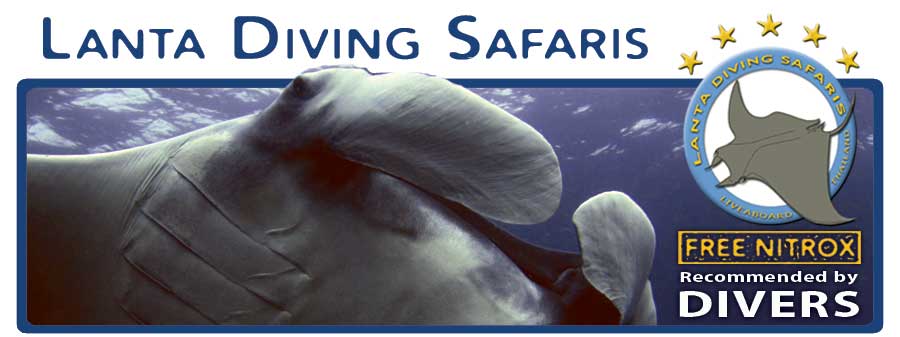 Lanta Diving Safaris <br>- Abenteuer Andamanensee!