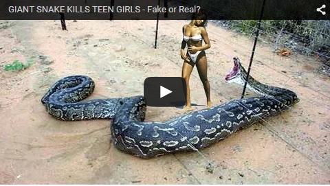 nude sexy making sex girl with big snake dildo