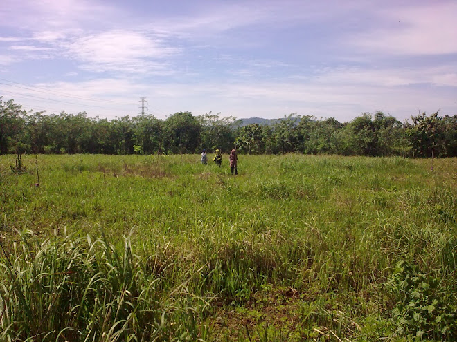 TANAH KAPLING KOMPLEKS PERTANIAN