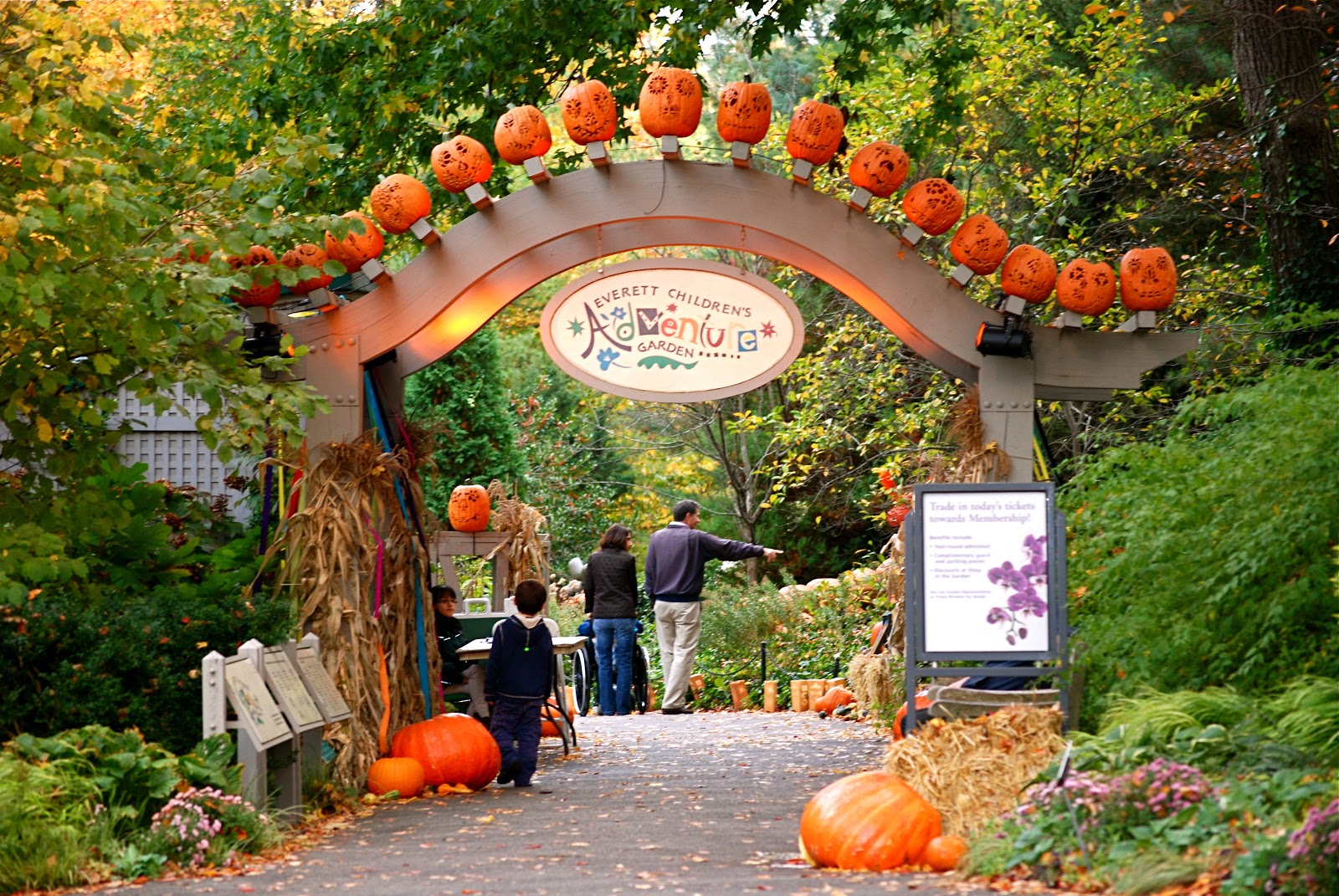 Pumpkin Patch Botanical Gardens