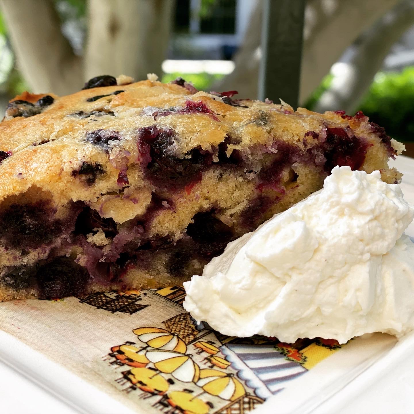Blueberry Buckle Cake
