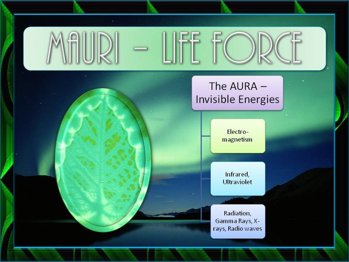 Whetumarama Tuhua KAI ORA Living Foods for Healing