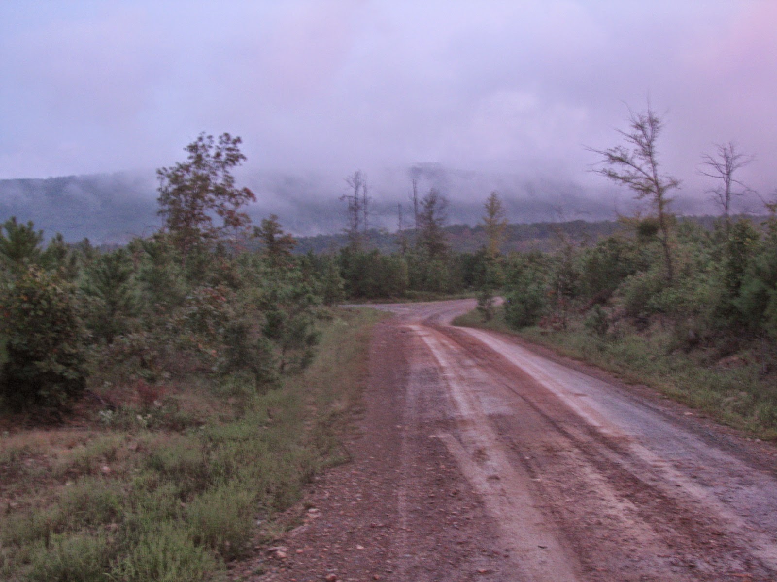 Honobia 2018 Bigfoot Conference Blog Sasquatch "White Paper" Part Four