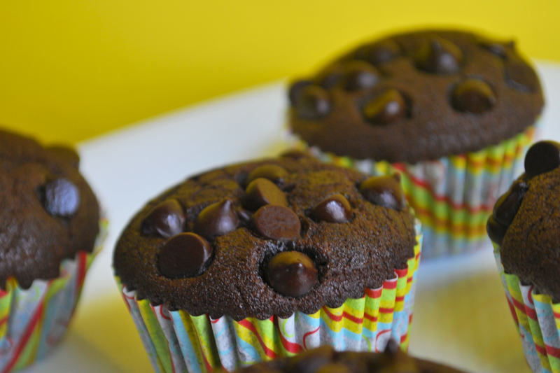 Cake Muffin Muffin Coklat