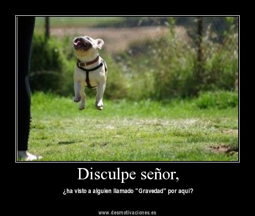 cOsAsDiveRTIdAs:203406) Hola :-)) | Cosas Divertidas