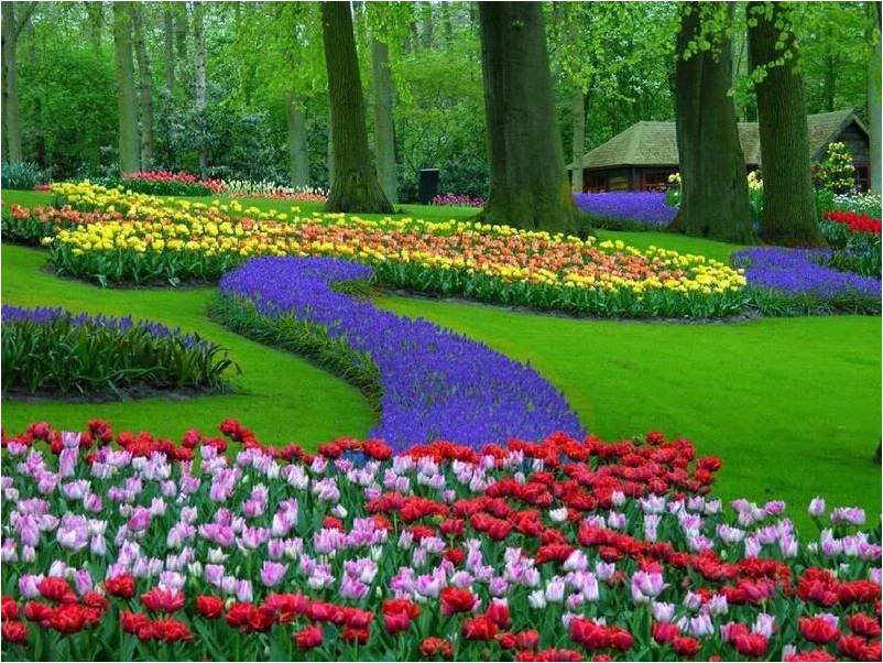 flores no jardim frases:frases,mensagens e poesias: Frase do dia flores no jardim frases:frases,mensagens e poesias: Frase do dia