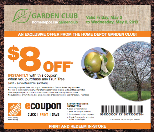 Office discount club coupon