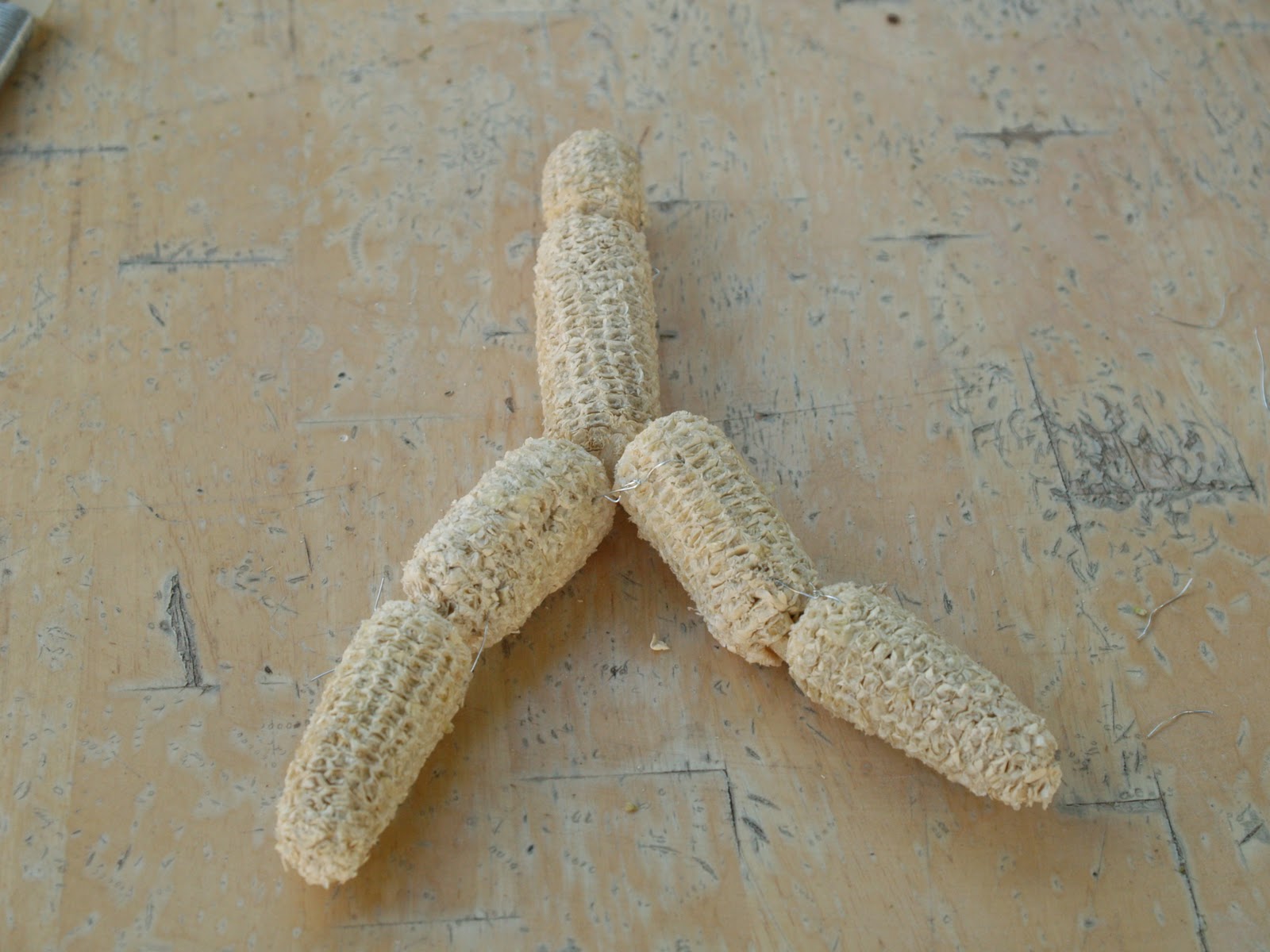 How To Make A Corn Cob Doll The Magic Onions