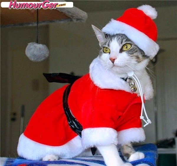 Meme Lucu Natal Gambar Lucu Selamat Natal Tahun Baru Cerita Lucu 6312 Meme Lucu Natal Gambar Lucu Selamat Natal Tahun Baru Cerita Lucu 6312