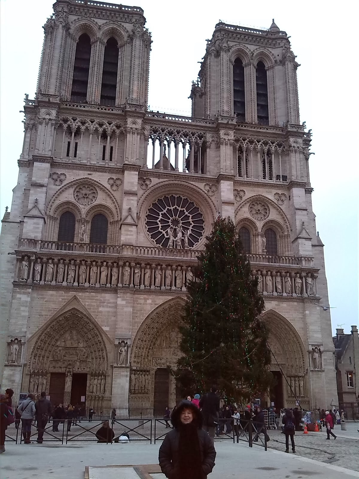 catedral  de Paris