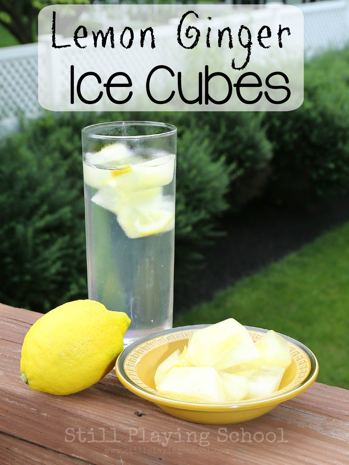 Lemon Ginger Ice Cubes for Refreshing Infused Water Still Playing School