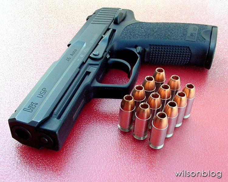 wilsonblog Blue Steel & Gunleather