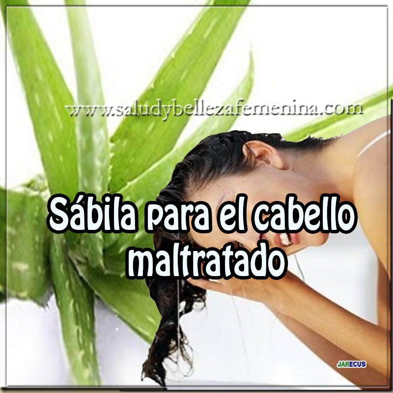 Sábila para el cabello maltratado Sábila para el cabello maltratado