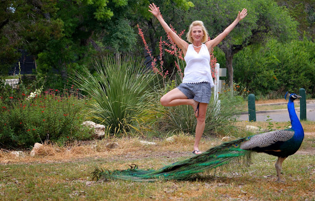 MAYFIELD PARK, AUSTIN TEXAS, TREE POSE, PECOCK