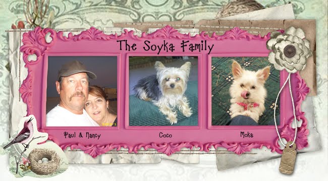 Soyka Family from Arizona