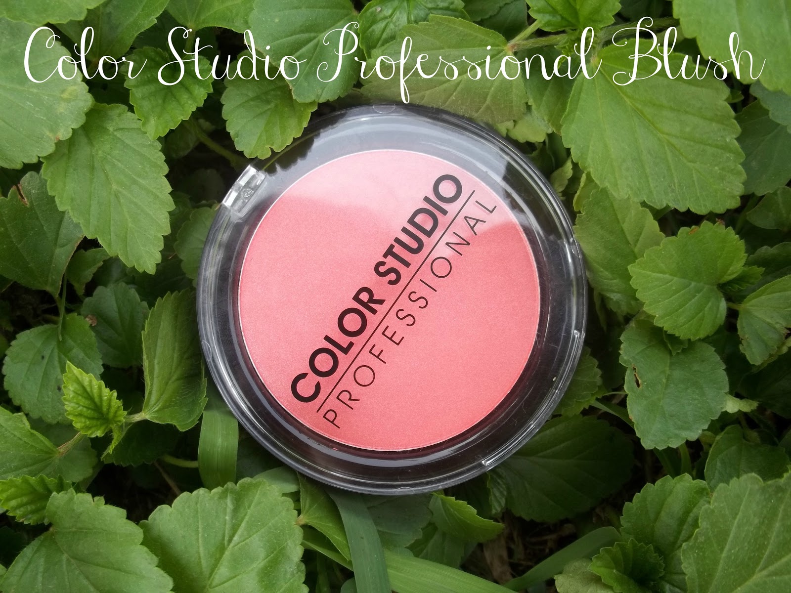 ReviewColor Studio Professional Blush Nayab Loves