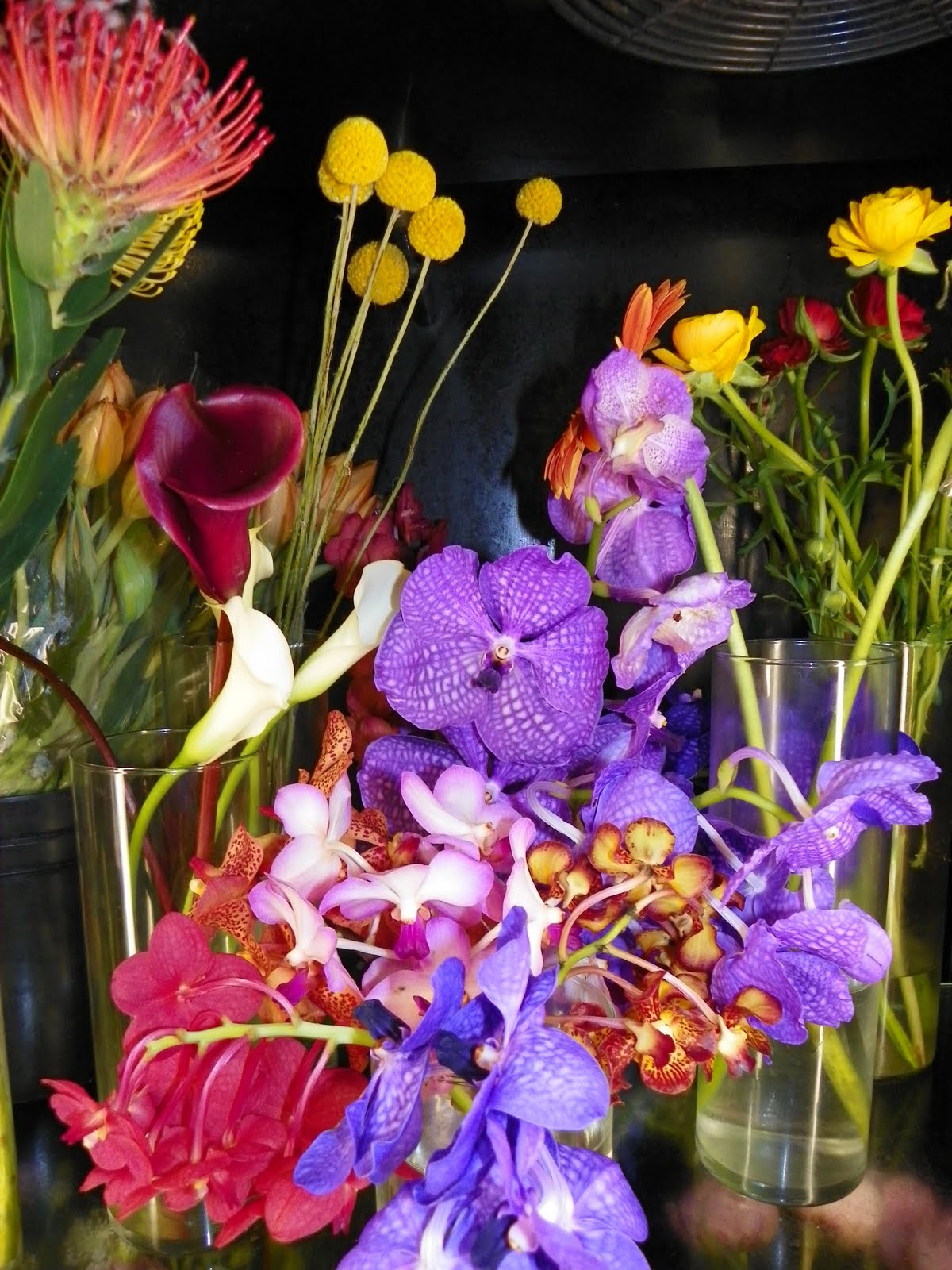 Apple Blossoms Floral Design & Gifts Tampa Florist and Unusual Flowers