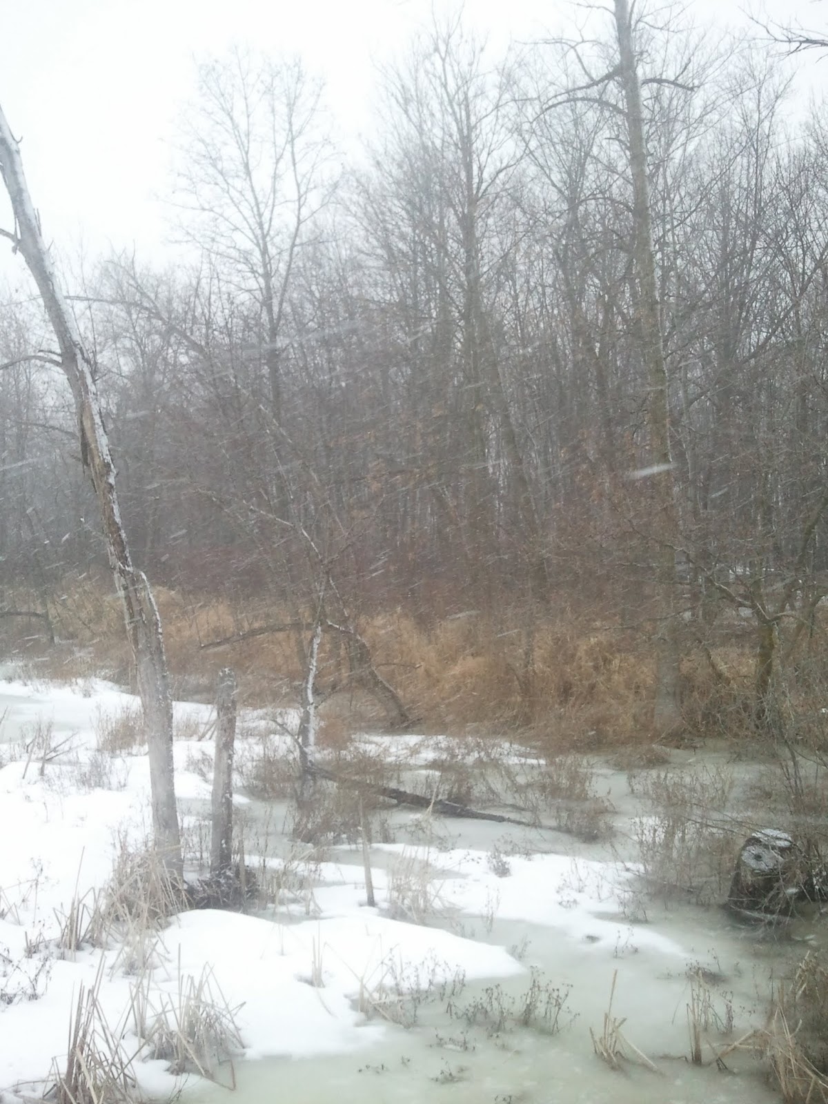 Blizzard Conditions