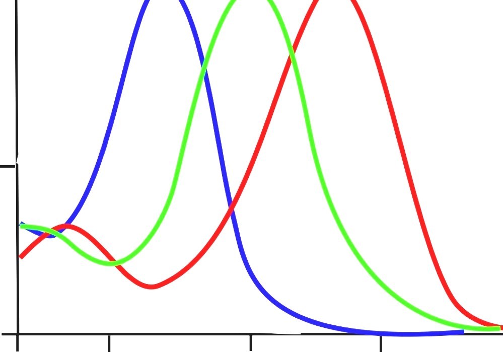 Double opponent cells color constancy and the dress Double opponent cells color constancy and the dress