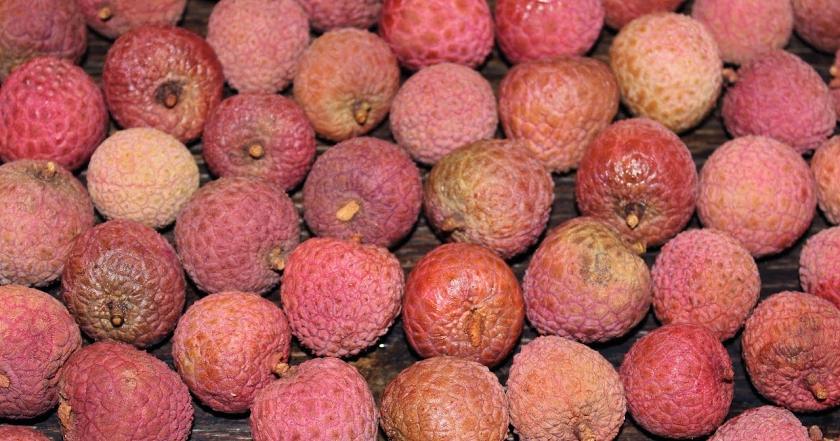 Edible Tropicals How to Grow lychee by seed
