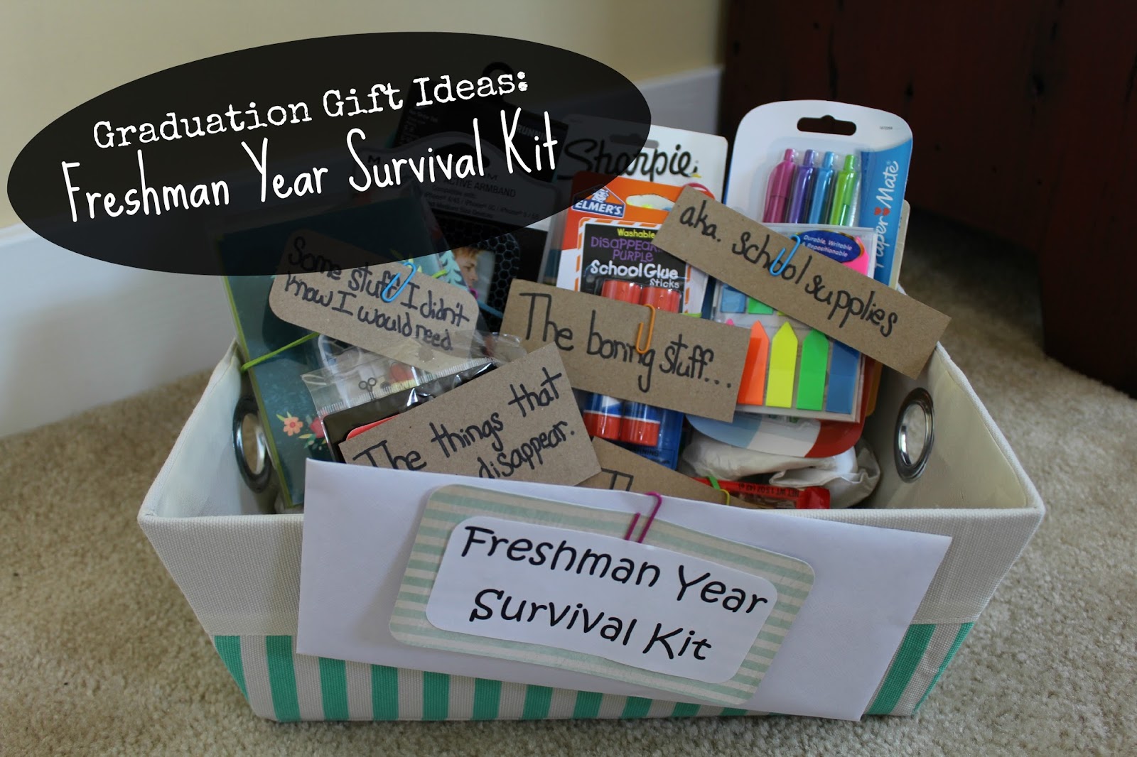 surviving freshman year