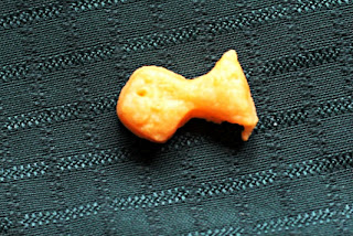 one gold fish cracker on a green placemat