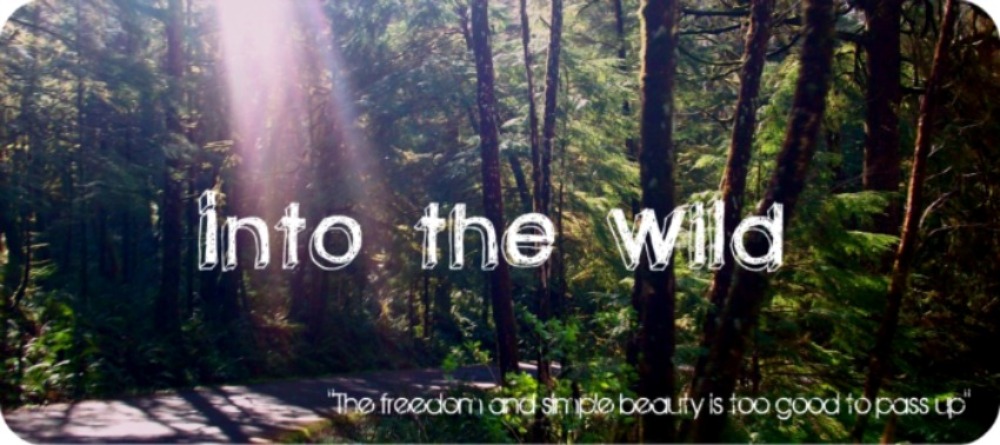 Into The Wild