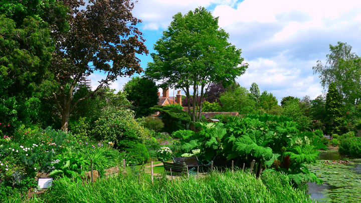 The Water Mill Garden The Water Mill Garden, Warwick Castle