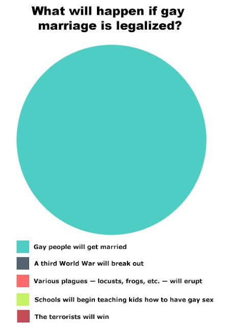 Buzzfeed Cats Vs Dogs Buzzfeed Cats Vs Dogs