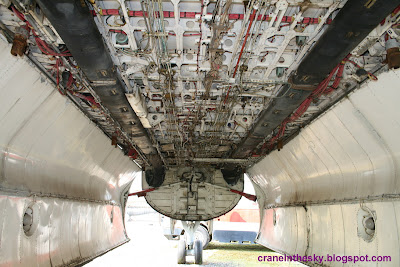 Avro Shackleton