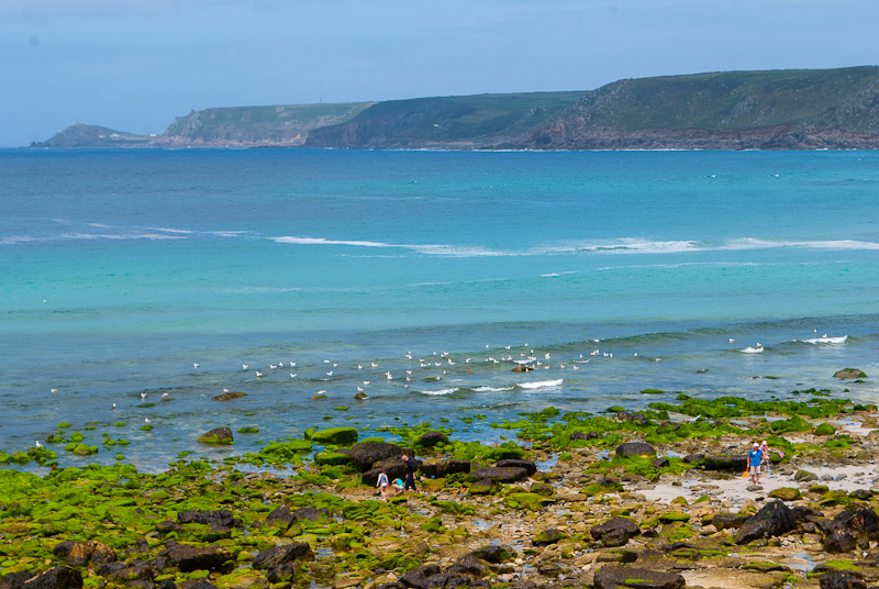 Family hopping around rocks and seagulls Image of a family playing on the rocks in sennen cove along with seagulls and the ocean west cornwall, england, UK