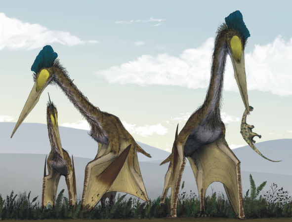 Detetives do passado: Pterossauros,os guerreiros alados