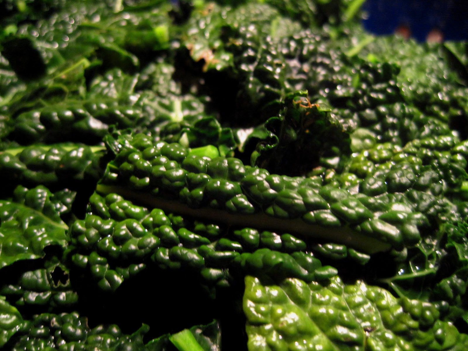 Quick and Easy Dino Kale