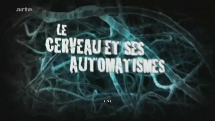 Reportage Sur Les Villes Les Plus Dangereuses Du Monde Reportage Sur Les Villes Les Plus Dangereuses Du Monde