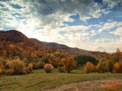 Casuta toamna in padure