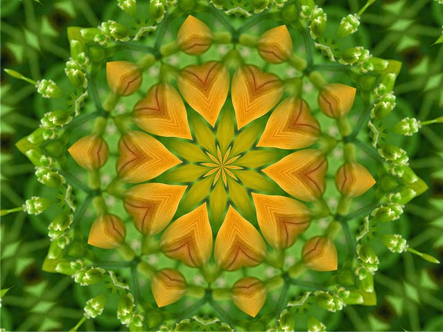 Preciosa Fotos De Puertas De Madera #5: Mandalas-feng-shui-Este.jpg Preciosa Fotos De Puertas De Madera #5: Mandalas-feng-shui-Este.jpg