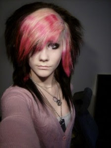 EMO Hairstyle Multi Color