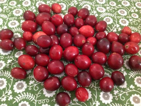 cran berry images cran berry images