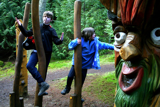 Wild Play Area Whinlatter Forest Whinlatter Pass, Wildplay & Keswick (C2C Day 2)