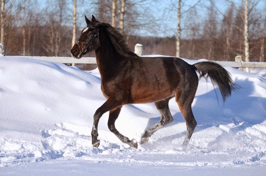 Aiheeseen liittyvä kuva