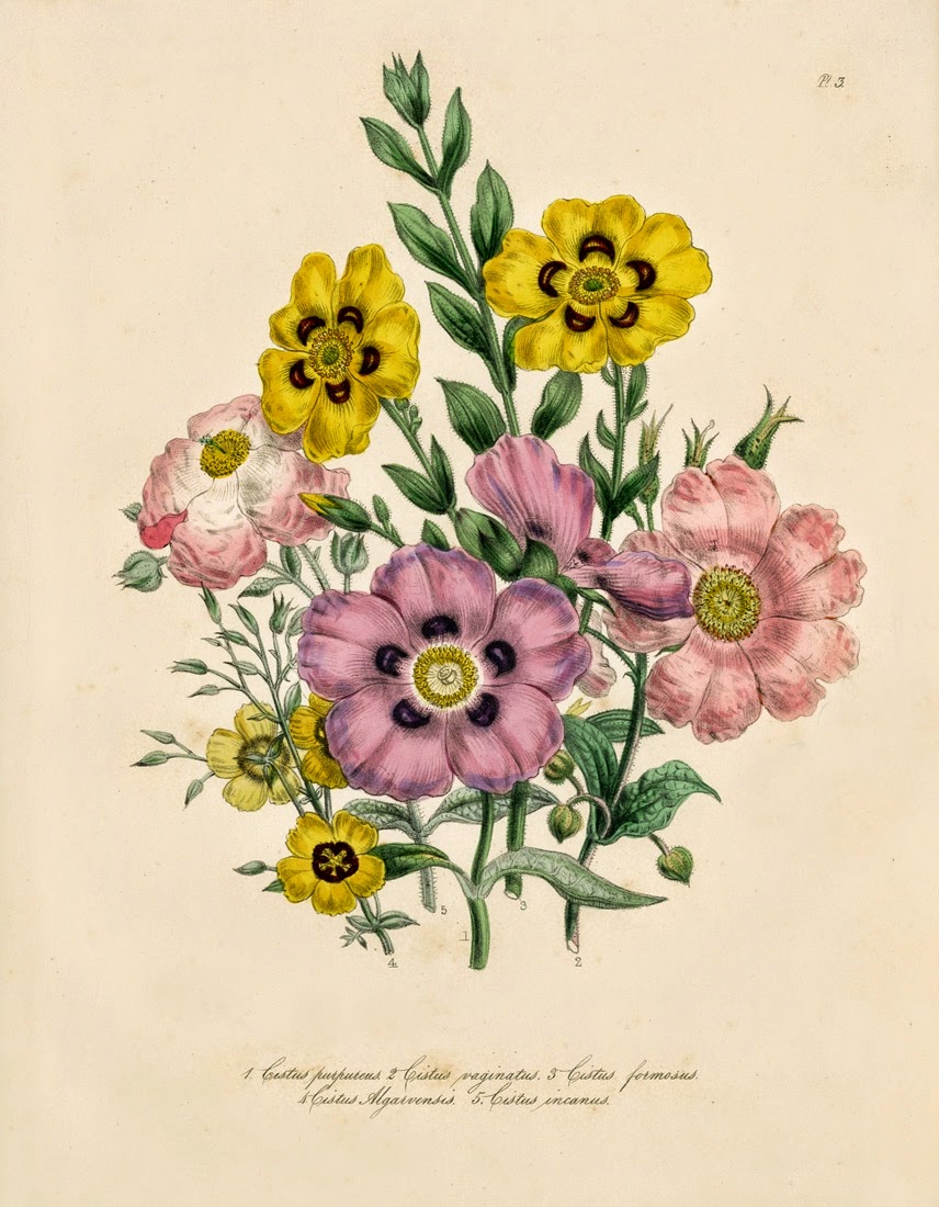 Infotainment @ www.keralites.net Fun & Info @ Keralites.net